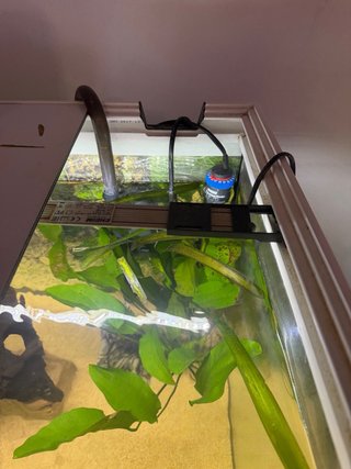 Acuario Eheim 240