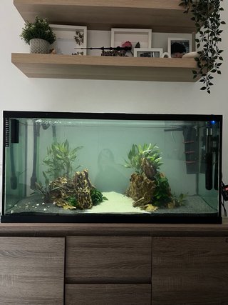 URNA DE ACUARIO 200 litros
