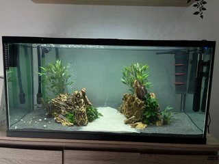 URNA DE ACUARIO 200 litros