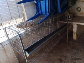 Jaula para gallinas metálica