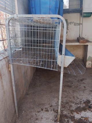 Jaula para gallinas metálica