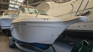 Barco Sabor con motor Suzuki
