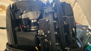 Barco Sabor con motor Suzuki