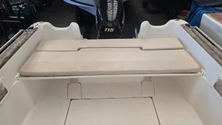 Barco Sabor con motor Suzuki