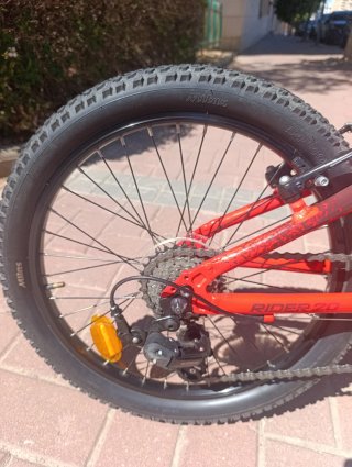 Bicicleta Infantil Rodado 20 29/08/26 anunciada.
