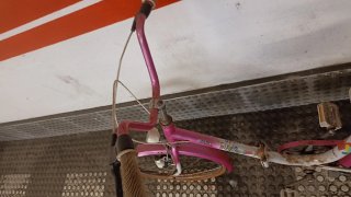 Bicicleta Vintage Orbea Papillon