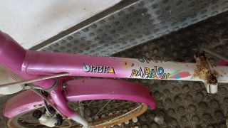 Bicicleta Vintage Orbea Papillon