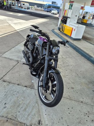 Harley Davidson V-Rod VRSCF muscle