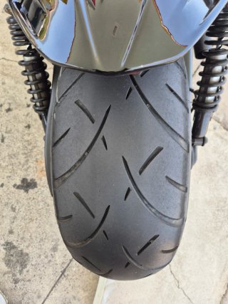 Harley Davidson V-Rod VRSCF muscle