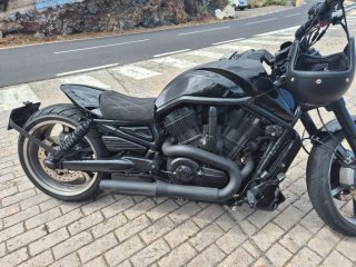 Harley Davidson V-Rod VRSCF muscle