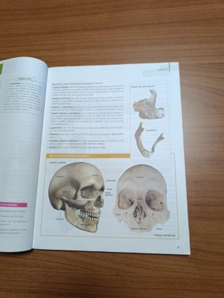 Anatomía aplicada, 1 Bachillerato