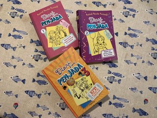 Pack de 3 de la saga de diari d’una penjada