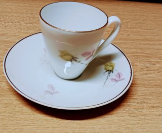 Juego de Café +azucarero Porcelana Bidasoa -10Serv