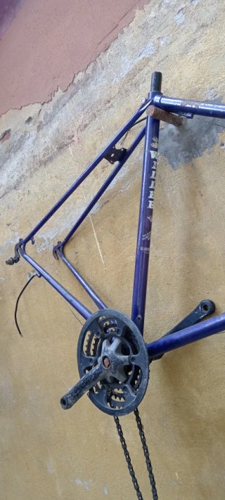 Telaio Corsa Vintage Willer