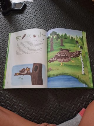 Libro infantil El búho se va de vacaciones