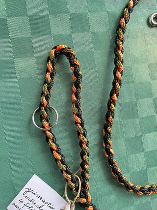 Guinzaglio per cani nero e arancione con del verde