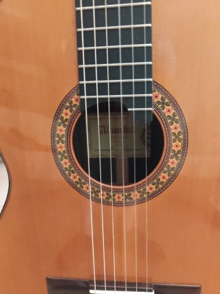 Guitarra Alhambra 10p