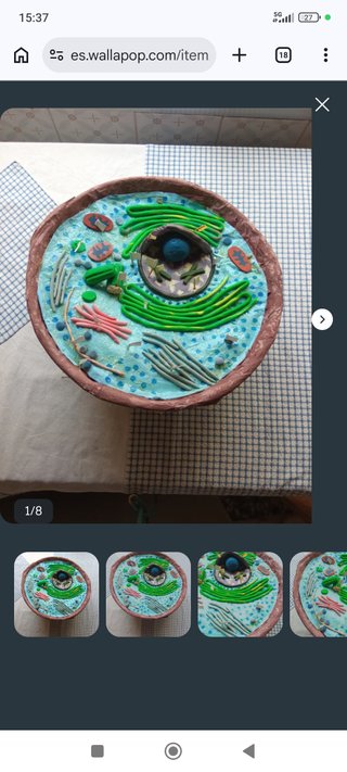 Maqueta Célula Animal