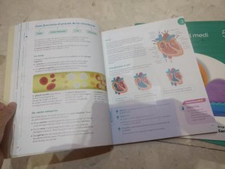 CONEIXEMENT DEL MEDI 5 PRIMARIA CONSTRUINT MONS