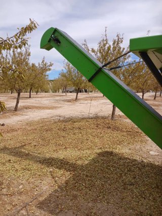 Peladora de almendras