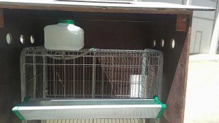 Gallinero portátil madera exterior, precio negocia