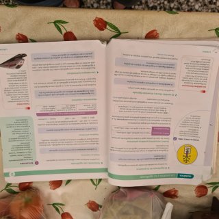 LENGUA CASTELLANA Y LITERATURA 1 ESO santillana