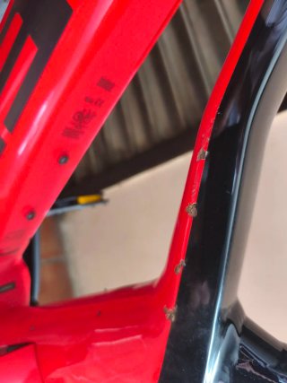 Bicicleta Eléctrica Trek Enduro Roja