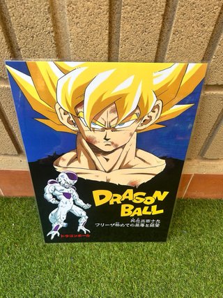 Póster A3 Dragon Ball Z - Goku vs Freezer
