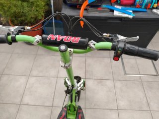 Patinete Eléctrico ROAN 500W