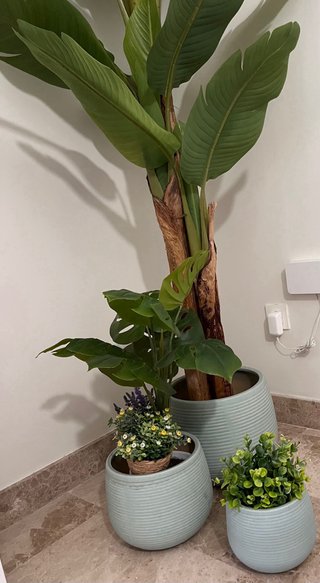 Platanera artificial grande y plantas pequeñas
