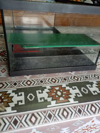 Tortuguera / Terrario de cristal