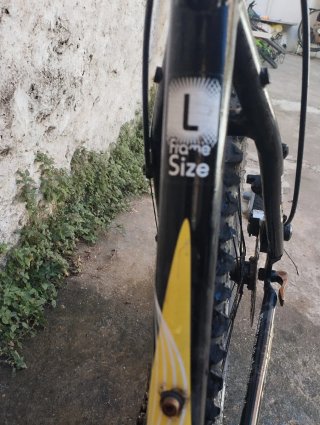 Bicicleta PRO FLEX Talla L