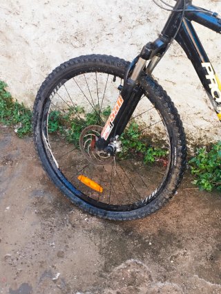 Bicicleta PRO FLEX Talla L