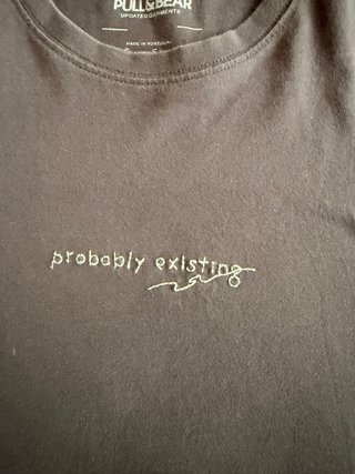 Lote 2 Camisetas Pull&Bear