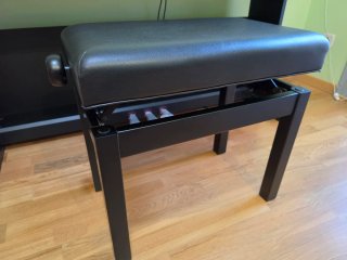 Piano Yamaha Arius YDP-164 Negro con Banqueta