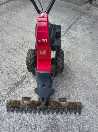 Segadora de dientes