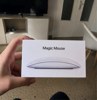 Apple Magic Mouse