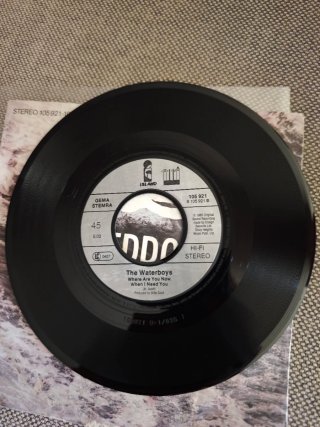 The Waterboys: lote 2 singles vinilo 7" 45 rpm