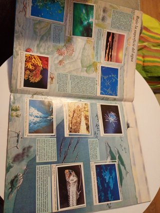 Álbum El Planeta Azul Panini 90s COMPLETO