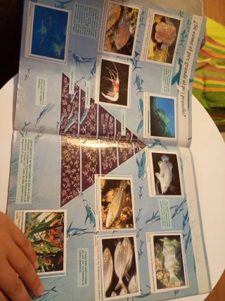 Álbum El Planeta Azul Panini 90s COMPLETO