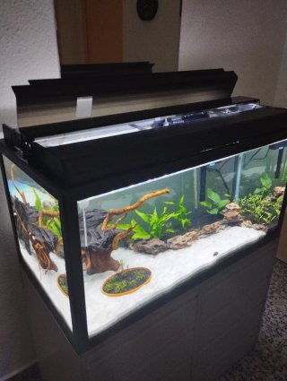Acuario 240L