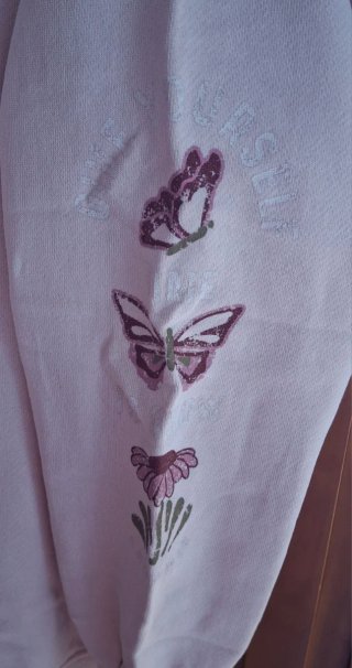 Sudadera rosa chica Brownie