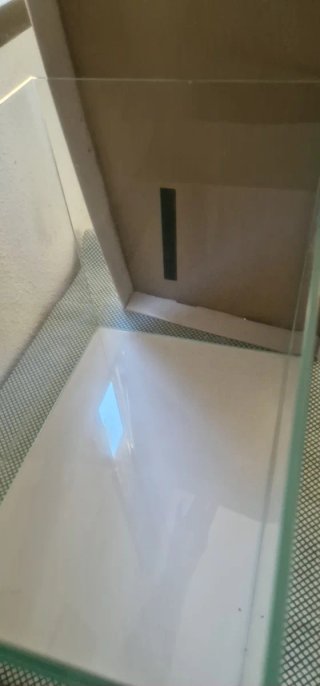 Super oferta Acuario de cristal.