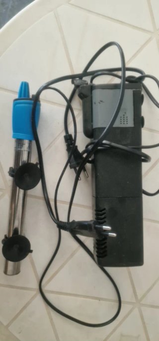 Super oferta Acuario de cristal.