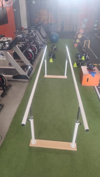 Barras paralelas fisioterapia rehabilitacion