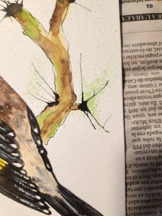 Jilguero acuarela pintado a mano