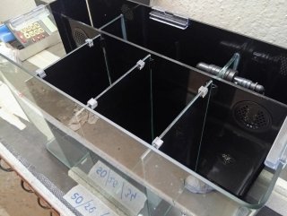 Filtro de acuario Betta