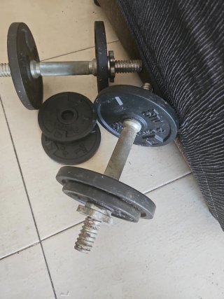 Manubri regolabili con dischi