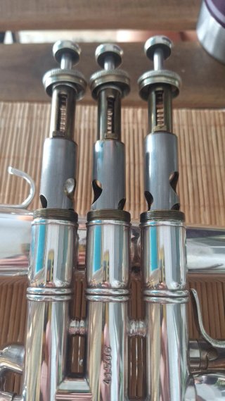 Fliscorno Benge 3