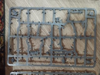 Bits Warhammer Batalla por Macragge